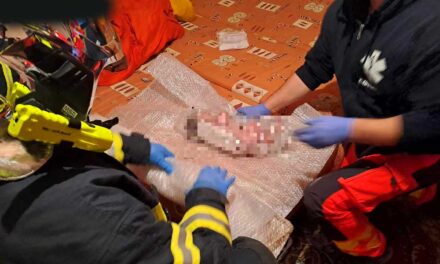 „Egy három hónapos baba van a kezemben és nem vesz levegőt” – sokkos állapotban tárcsázta a mentőket a Pest megyei édesanya, miután csecsemője élettelenül feküdt