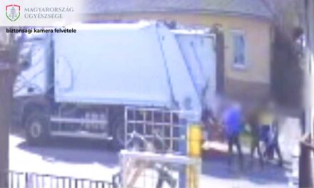 Rúgdosták, majd ököllel verték a fejét a kukásautó sofprjének Tinnyén az agresszív helyiek