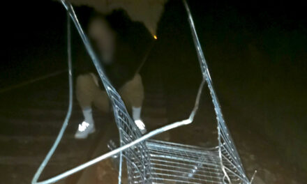 Egy bevásárlókocsit helyeztek ismeretlenek a vasúti sínekre, a mozdonyvezető alig tudta elkerülni a balesetet