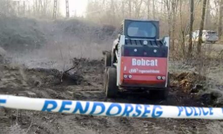 Egy bőröndbe rejtették a 20 éves győri lány holttestét, majd taxit hívtak, azzal vitték az erdőbe, majd elásták