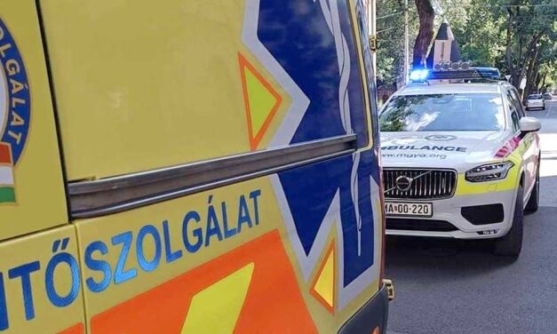 „Az utolsó pillanatokban tudták kimenteni” – megszólt az orvos, aki azt a két kisgyermeket mentette meg, akit anyjuk a forró autóban hagyott a tűző napon