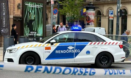 Luxuséletet élt a budapesti drogkereskedő, az olasz és a szerb maffia pénzelte, aztán bej lett