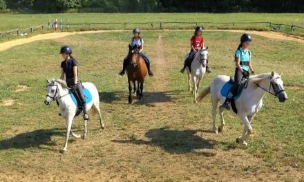 Súlyos baleset a gyermektáborban: megrúgta a 8 éves kislányt a ló, mentőhelikopterrel vitték kórházba