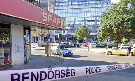 Egy bedrogozott férfi tört-zúzott a pomázi dm-ben, a Spar parkolójában fogták el a rendőrök