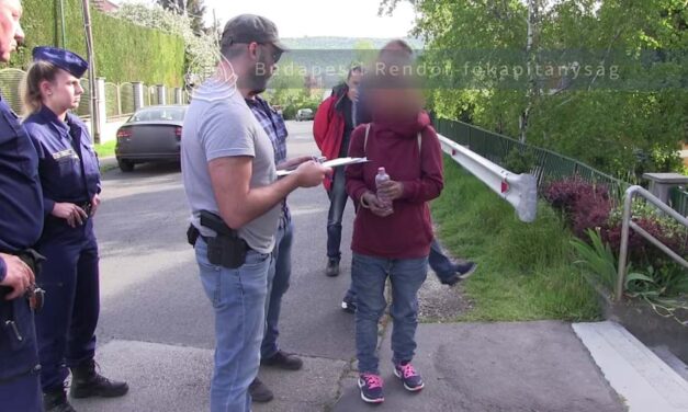 Bimbó úti gyilkosság: egy volt MDF-s országgyűlési képviselő feleségét ölte meg örökbefogadott lánya