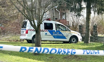 Gyilkosság Pest megyében: négyszer szúrta meg feleségét a férfi, majd kórházba vitte, ahol meghalt az asszony