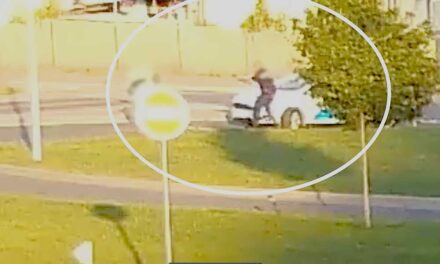 Fegyveres rendőrségi akció Solymáron, a csikorgó rendőrautó pillanatok alatt fékezett, a rendőrök nem vacakoltak