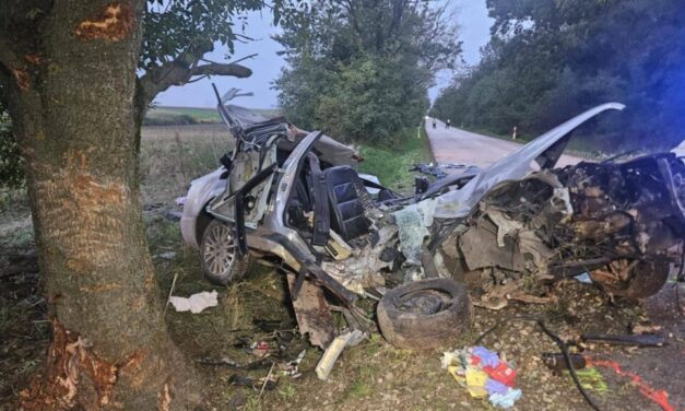 Halálos baleset: anya és fia szörnyethalt a hétvégén, miután autójuk egy fának csapódott