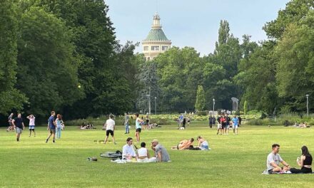 Az árvízi veszély miatt ellensúlyokkal támasztották ki a fákat, a főpolgármester most bejelentette: végre újranyitják a Margitszigetet