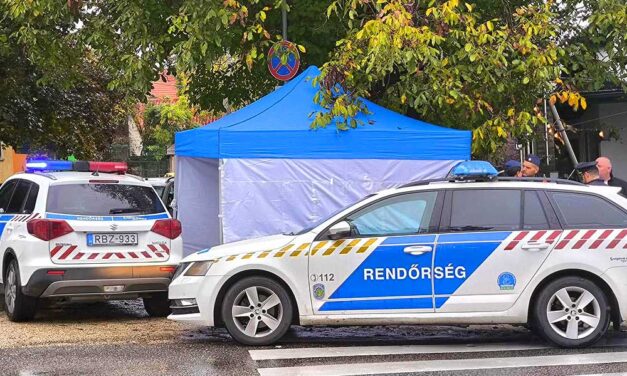 „Bal oldalon célzott jobb oldalon kijött minden” – megszólalt a szemtanú, aki végignézte, hogyan lüvi magát fejbe az idős férfi Törökbálinton