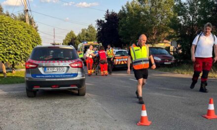 Gyerekek közé hajtott egy nő a dégi iskolánál, állítólag bosszút akart állni a diákokon