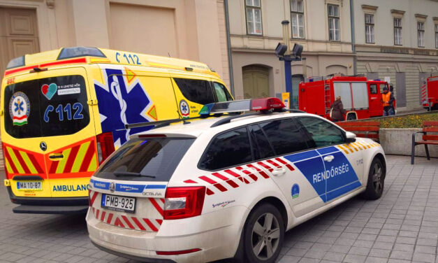 „A mai napig képtelen vagyok feldolgozni a fiam halálát” – megszólalt az Erzsébet téren halálra késelt 18 éves fiú anyja, az elkövetőre 12 és fél évet kértek