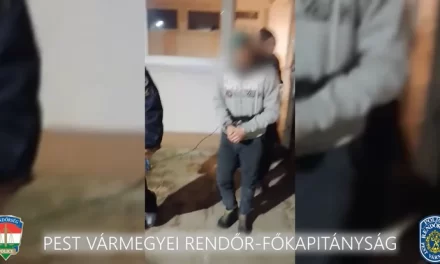 Újabb fejlemények a váci környéki rémről: 12-13 éves lányokat csábított el, majd közösült velük a Duna-parton