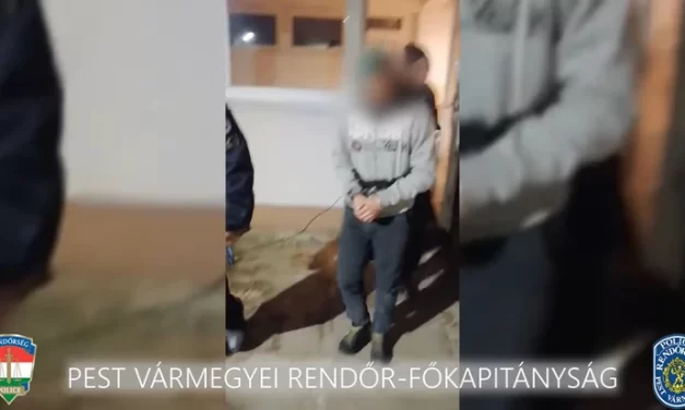 Újabb fejlemények a váci környéki rémről: 12-13 éves lányokat csábított el, majd közösült velük a Duna-parton