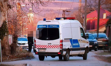 „Csak az első hat szúrásra emlékszik” – 45 szúrással végzett az RTL munkatársával Sz. Tamás, a fiatal férfi bosszúból ölhette meg barátnőjének édesanyját