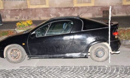 Saját fia és volt élettársa rabolta el a nyolcgyermekes anyát