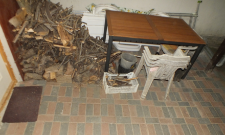 Dráma Monoron: megölte, majd házuk terasza alá bebetonozta anyja holttestét Zs. Ádám, a férfi a fogdában felakasztotta magát