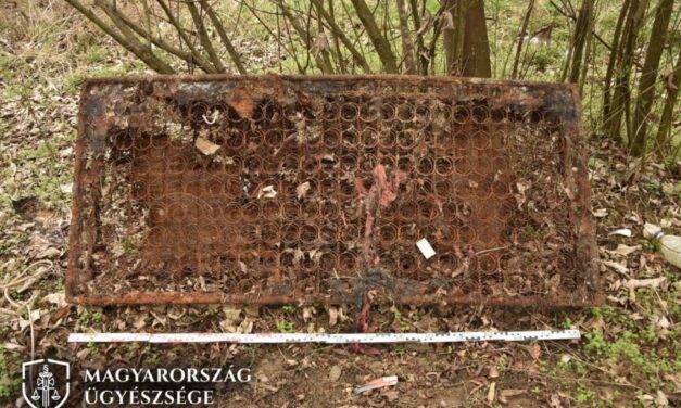 Vacsővel agyonverte, majd párja holttestét felgyújtotta és feldarabolta a zalaegerszegi hajléktalan