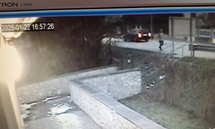 Kisétált egy koponyasérült férfi az ajkai kórházból, másnap testvére egy bozótosban találta meg a holttestét