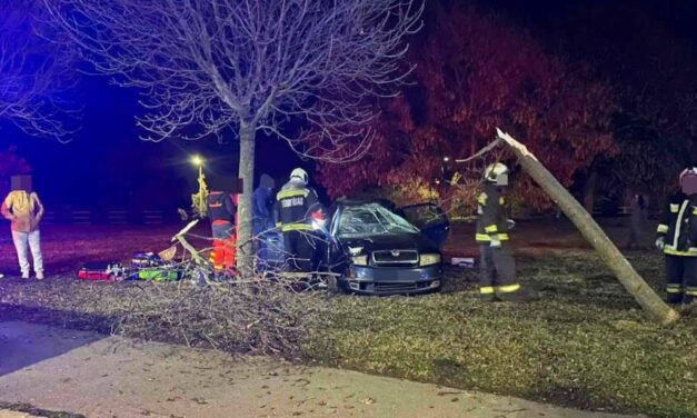 Halálos baleset Százhalombattán: a telefonban hallgatta végig párja balesetét, aki biztonsági öv nélkül csapódott egy fának, a mentősök már nem tudtak segíteni rajta