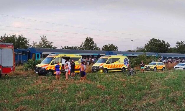 Gyászosan indul a hét a MÁV-nál: hétfő reggel három vonalon is gázolt a vonat