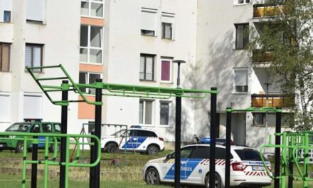 Zalaszentgróti tragédia: rossza társaságba keveredhetett, ezért zárta be a lalásba az édessanyja a 14 éves Vikit, a lány mászás közben csapódott a földre