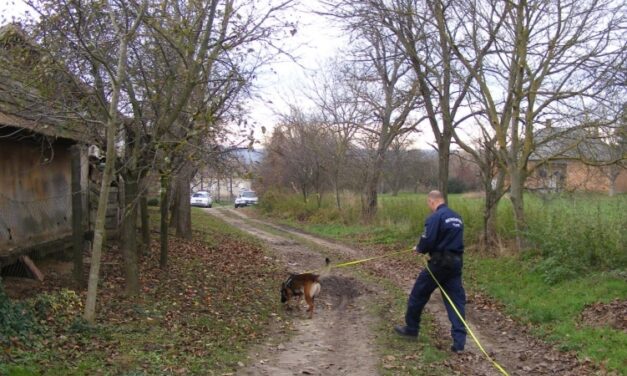 Megölte 31 éves élettársát egy férfi Budapesten, a holttestet azóta sem találják