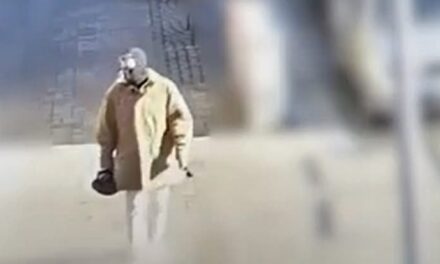 Kétszer is segítséget kért a japán nő a rendőrségtől, miután volt férje bántalmazta és halállal fenyegette: segítséget nem kapott, most két kisgyermek maradt félárván