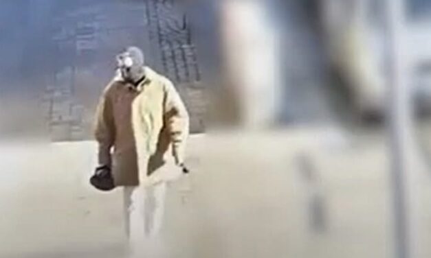 Kétszer is segítséget kért a japán nő a rendőrségtől, miután volt férje bántalmazta és halállal fenyegette: segítséget nem kapott, most két kisgyermek maradt félárván