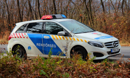 Király utcai gyilkosság: egy hét keresés után megtalálták a 17. kerületi kisállattemetőben elásott fiatal nő holttestét