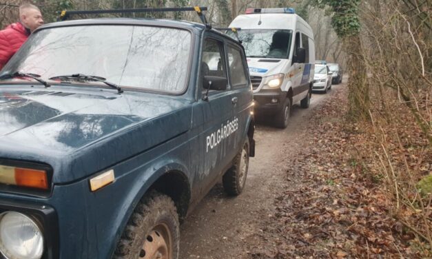 „Ha ennél a kislánynál nincs mobiltelefon, már nem élne” – nemcsak fajtalankodott, hanem fojtogatta is a sárisápi rém az elrabolt 10 éves kislányt