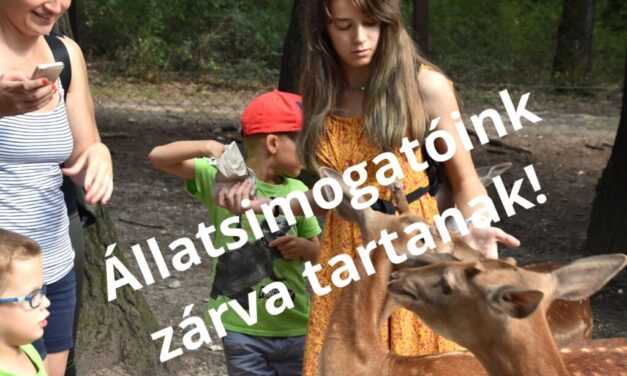 Járvány Magyarországon: a ragadós száj – és körömfájás miatt sorra zárják be az állatkertek állatsimogatóit