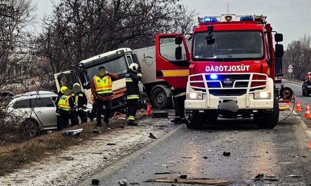 Súlyos baleset Zsámbéknál: autóval ütközött egy állatokat szállító kamion, több tehén elpusztult, teljesen lezárták az utat