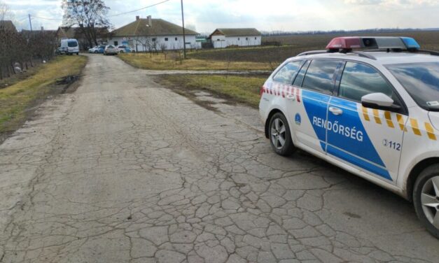 Pszichiátrián ápolják azt a nőt, akinek 10 éves kisfiát holtan találták a berekfürdői tanya tyúkoljában