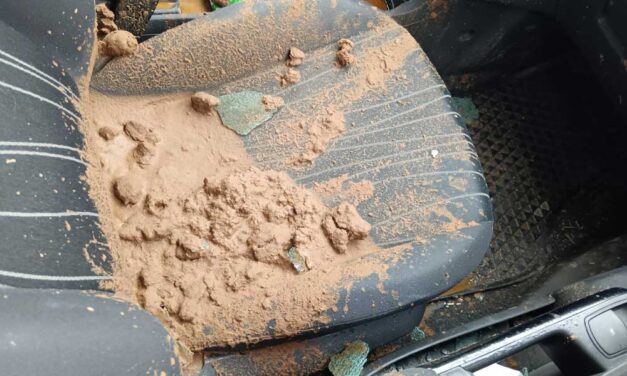 Egy vödörnyi, vízben higított kutyaszart öntöttek a Mi Hazánk Pest megyei képviselőjének autójába