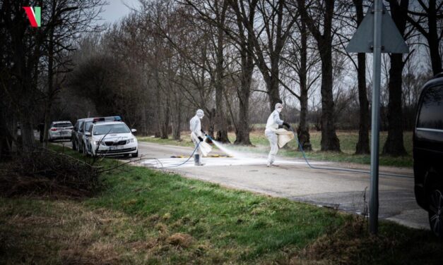 Járványhelyzet Magyarországon: a ragadós száj – és körömfájás miatt már a Kéktúra egy szakaszát is le kellett zárni