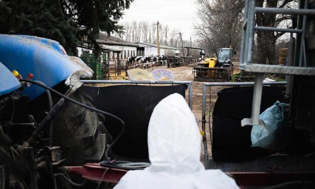 Járványhelyzet: sorra zárják le a Balaton környéki élményközpontokat a száj- és körömfájás betegség miatt