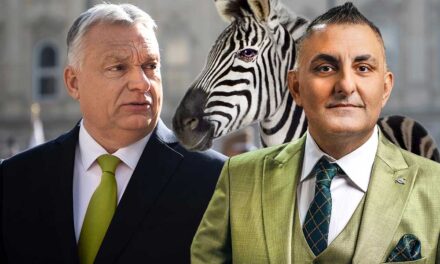 Orbán Viktor hivatalos levélben kérte Győzikét, hogy válasszon neki egy zebrát