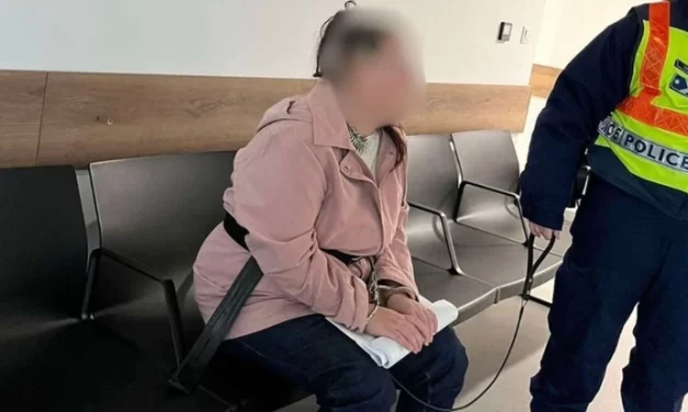 Késelés Szentendrén: életveszélyesen megsebesítette haragosát egy nő