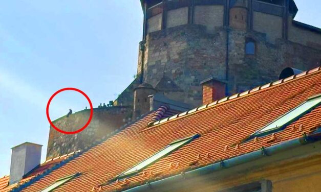 Dráma Esztergomban: lezuhant egy 13 éves gyermek a vár faláról, mentőhelikopter érkezett a helyszínre – videó a cikkben