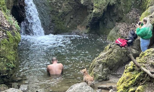 “Levette a ruháját és megfürdött a vízesésben” – Egy férfi váratlanul levetkőzött és a Budai-hegység legnagyobb vízesésénél strandolt a hideg vízben