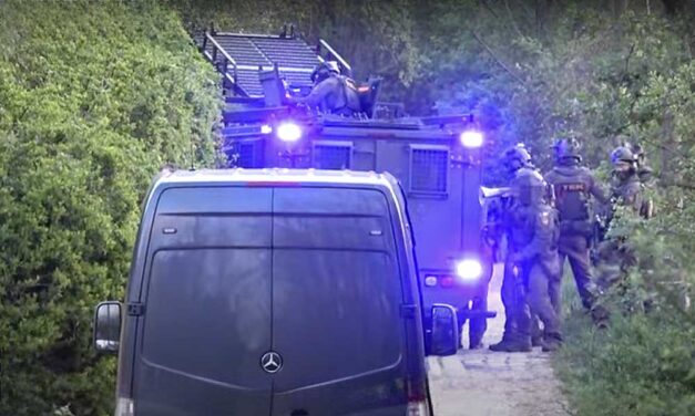Meghalt a törökbálinti férfi, aki a TEK-es akció közben lőtte magát fejbe: fegyvereket és rengeteg kábítószert találtak a házban – videó az akcióról