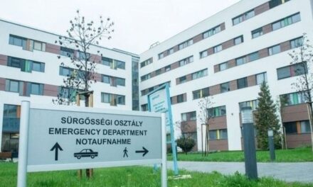 „Egy gyermek halálát soha nem lehet feldolgozni” – hazaküldték a kórházból, meghalt a féléves Zsombor