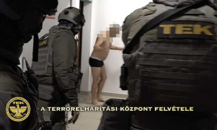 Drograzzia: egy törökbálinti étteremből terítették a kábítószert a futárok, 42 helyszínen csaptak le a rendőrök a bandára, fegyvereket is lefoglaltak