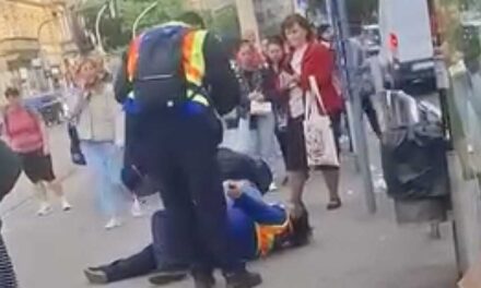 Megtépte, majd a földre lökte a BKK biztonsági őrét egy nő a Blahán, a kollégája ezt közelről végignézte és nem csinált semmit – Videó