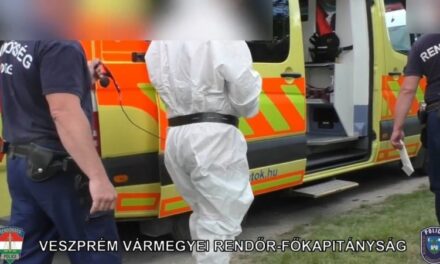 Gyilkosság Lovászpatonán: kapával védte meg szomszédja a késelőtől az asszonyt, a 30 éves férfi azonban meghalt