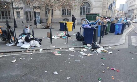 Elindult a terézvárosi kukakommandó: rengeteg palackot és illegális szemetet szedtek össze