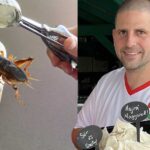 Nagyot meg a Balatonnál a tücsökből készült ciripella fagyi, de milyen íze van az ehető rovarnak?