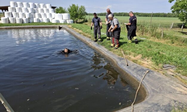 „A szülőknek ez egy pokoli tragédia” – víztározóba fulladt egy 17 éves fiú a kaposmérői állattelepen