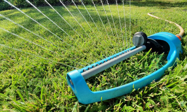 Kezdődnek a vízkorlátozások: locsolási tilalmat vezettek be 4 településen, köztük Érden és Törökbálint környékén